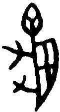 龜,甲骨文 ,書法字典